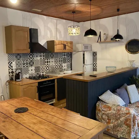 Le Palmier Holiday home