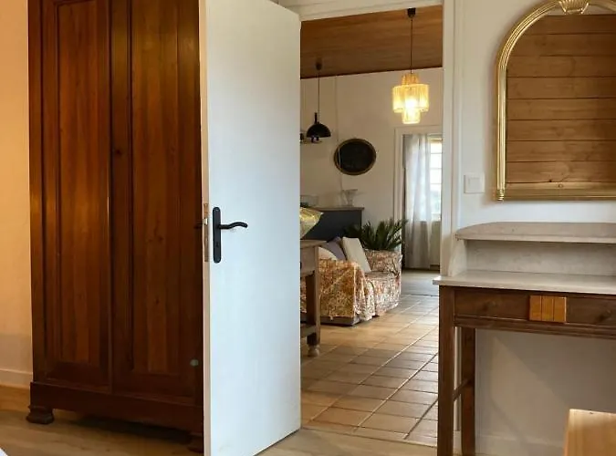 Le Palmier كاستلناود لا شابيل